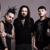 Korn