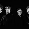 The Mountain Goats