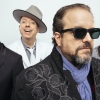 The Mavericks