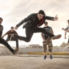 Foto Zebrahead