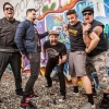 Foto Zebrahead