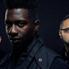 Animals as Leaders
