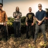 Foto Mastodon