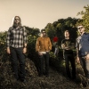 Foto Mastodon