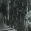 The KVB