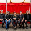 The Magnetic Fields
