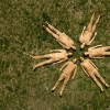 Royal Canoe