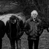 Foto Bintangs / Ruben Hoeke Band