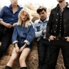 Foto The Common Linnets