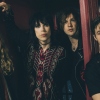 The Struts