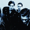 Marmozets