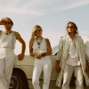 Foto Broncho