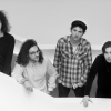 Catfish and the Bottlemen