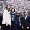 Blossoms