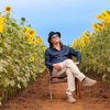Foto Alceu Valença - 80 Sunflowers
