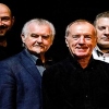 The Animals