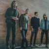 Dayseeker
