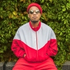 Anderson .Paak & The Free Nationals