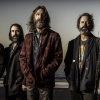 Chris Robinson Brotherhood