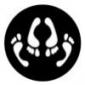 Avatar xScreamout