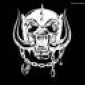 Avatar motorheadkip