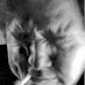 Avatar polle