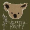 Avatar sleater-kinney