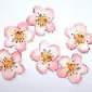 Avatar CherryBlossom