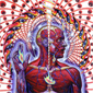 Avatar dvorah