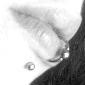 Avatar ber
