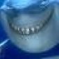 Avatar sharkbait,oehaha