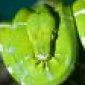 Avatar i_passed_i_failed