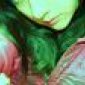 Avatar Slevilinox