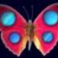 Avatar saar007