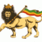 Avatar ReggaeVibes