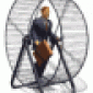 Avatar Polletje