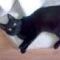Avatar Deedee0402