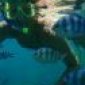 Avatar MineW