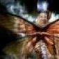 Avatar BigBart