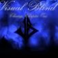 Avatar VisualBlind