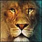 Avatar maartengoudsmit