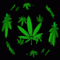 Avatar marianorder