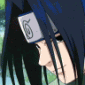 Avatar Palito