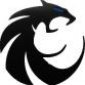 Avatar wildcatje