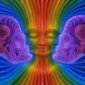Avatar wimmo