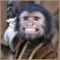 Avatar SimoneP