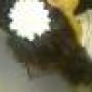 Avatar FrancesW