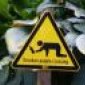 Avatar Wupper