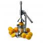 Avatar fruitsap