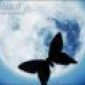 Avatar black_spirit